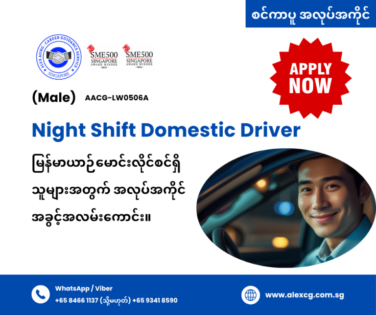 Night Shift Domestic Driver