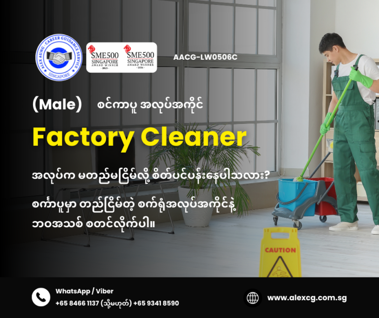Factory Cleaner