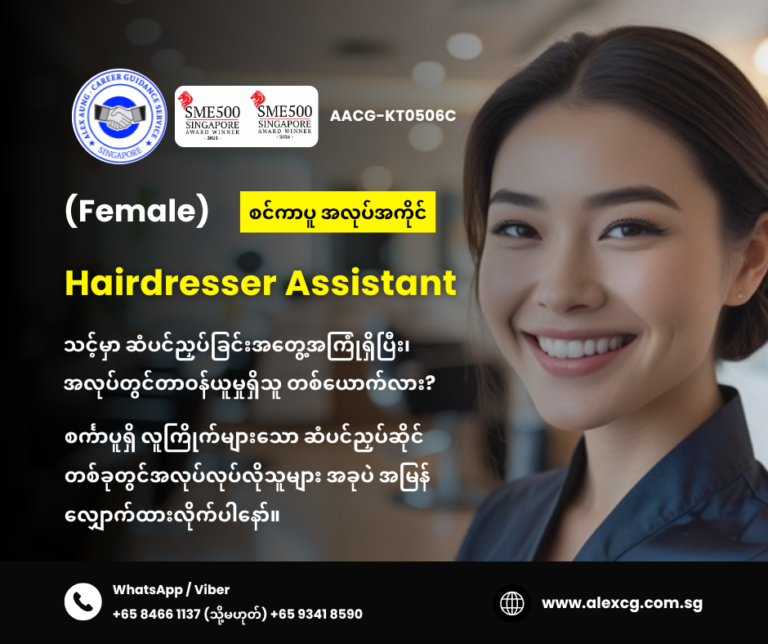 Hairdresser Assistant