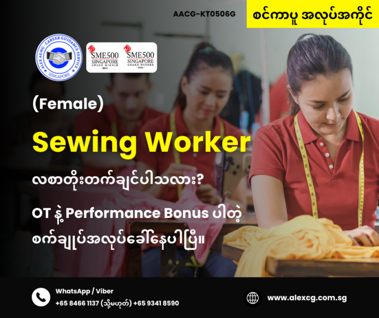 Sewing Worker