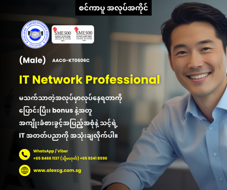 IT Network Professional