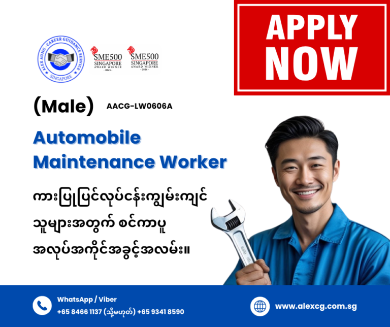 Automobile Maintenance Worker