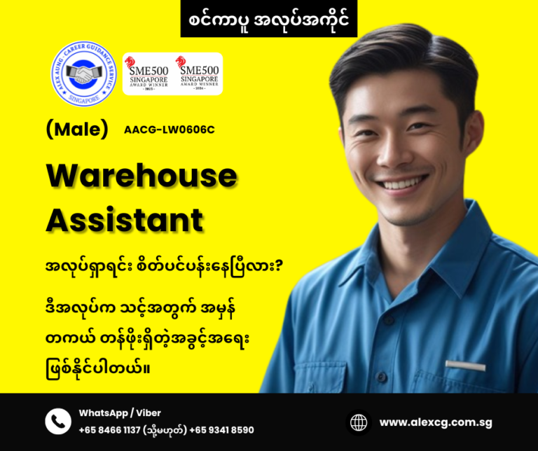 Warehouse Assistant