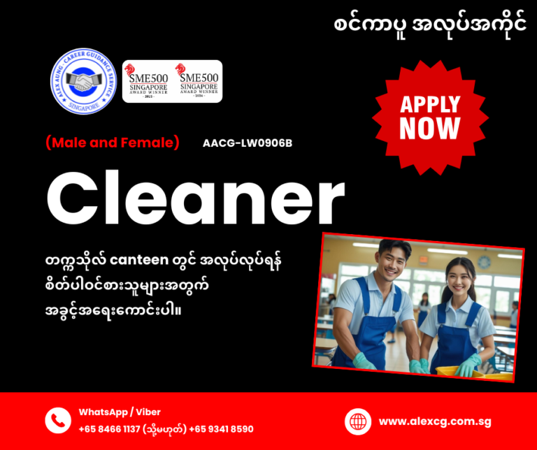 Cleaner