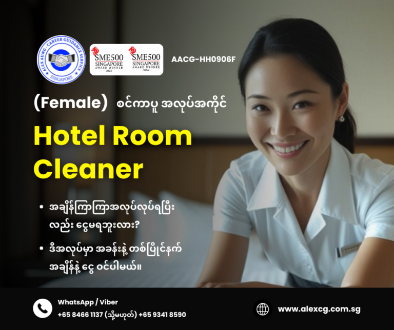 Hotel Room Cleaner