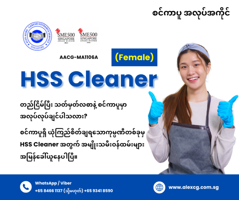 HSS Cleaner