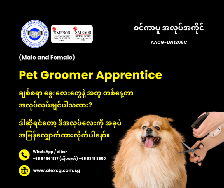 Pet Groomer Apprentice