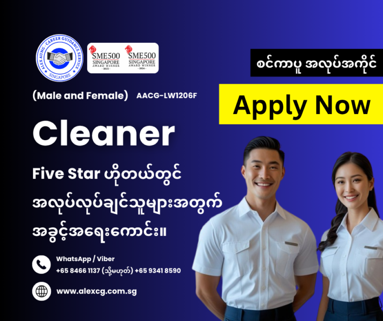 Cleaner