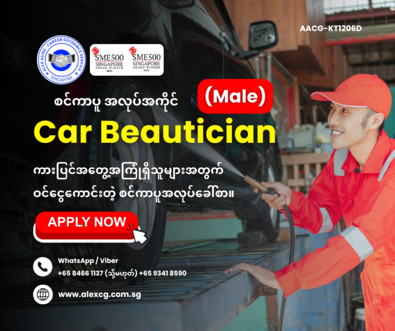 Car Beautician