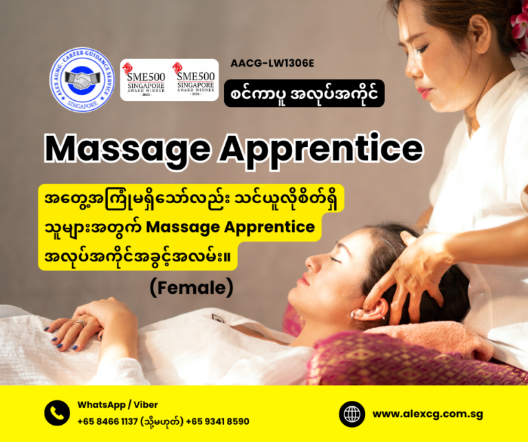 Massage Apprentice