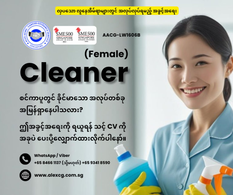Cleaner