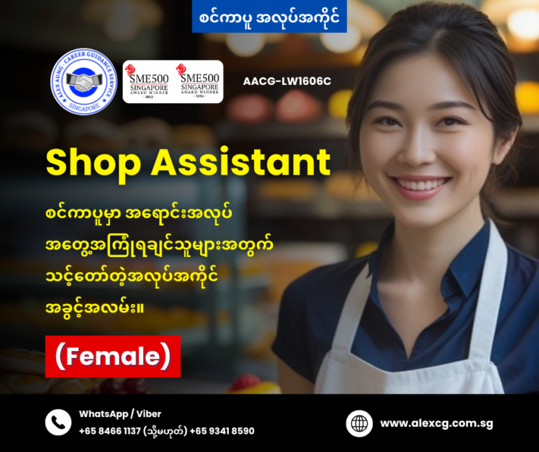 Shop Assistant