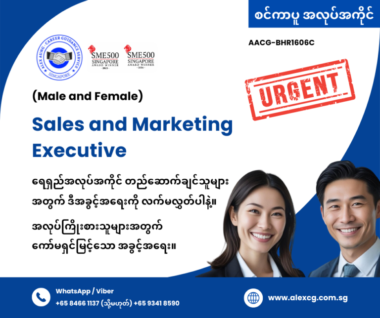 Sales and Marketing Executive