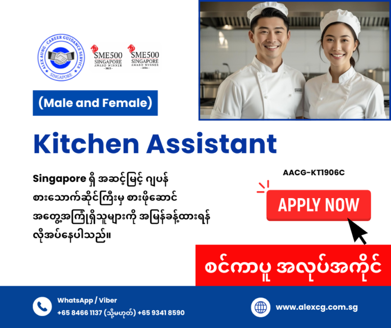 Kitchen Assistant