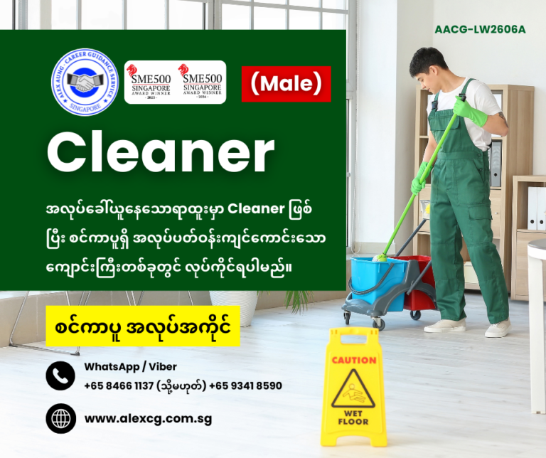 Cleaner