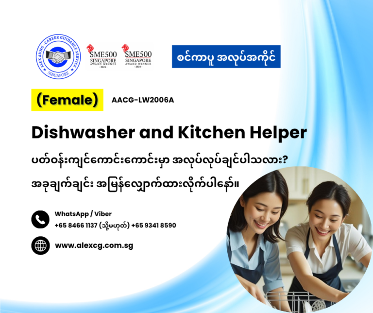 Dishwasher and Kitchen Helper