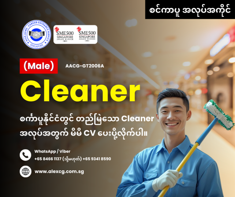 Cleaner
