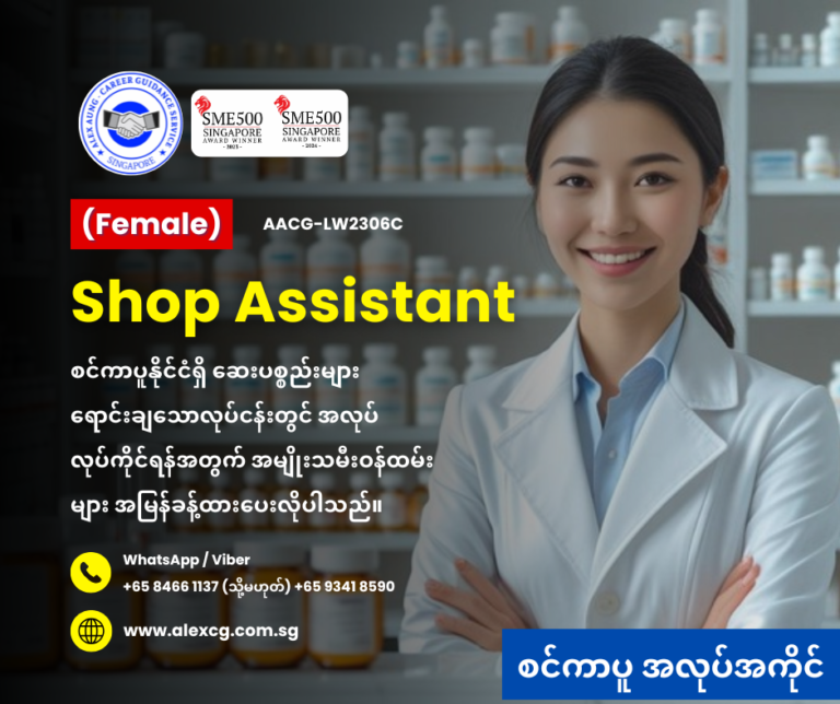 Shop Assistant