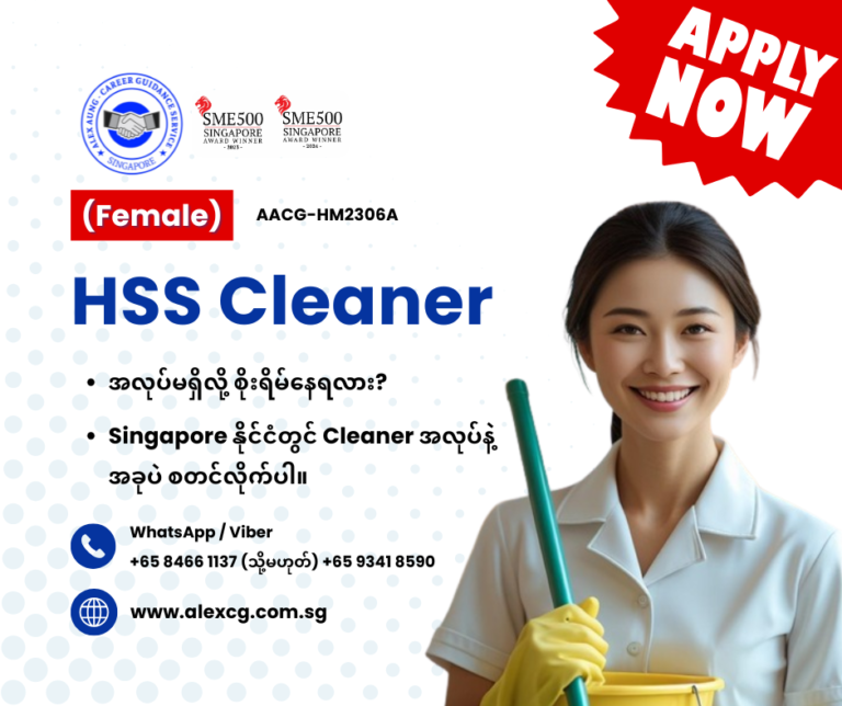 HSS Cleaner