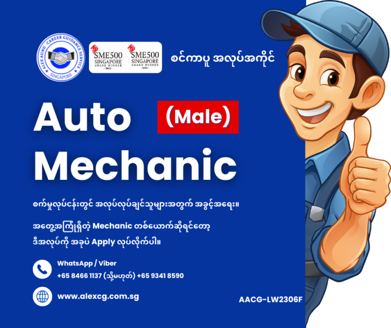 Auto Mechanic