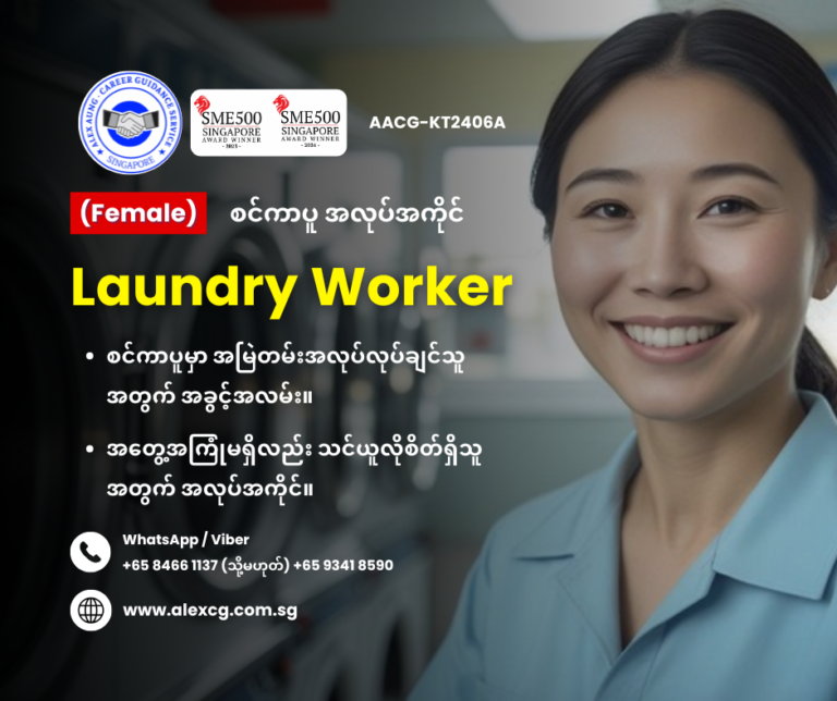 Laundry Worker