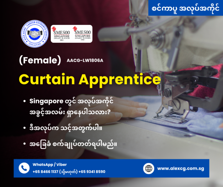 Curtain Apprentice