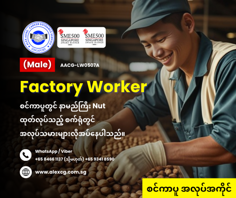 Factory Worker