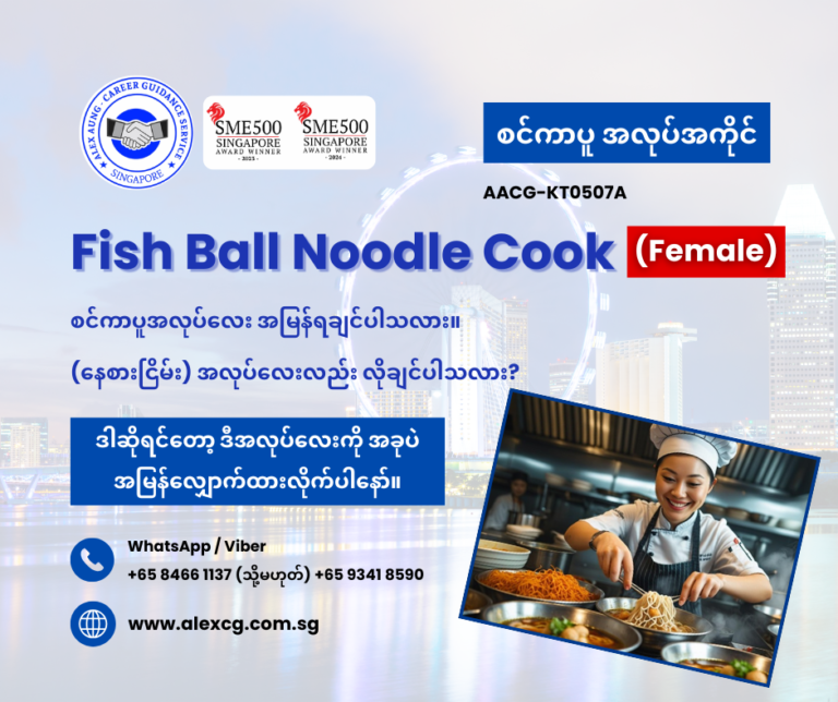 Fish Ball Noodle Cook