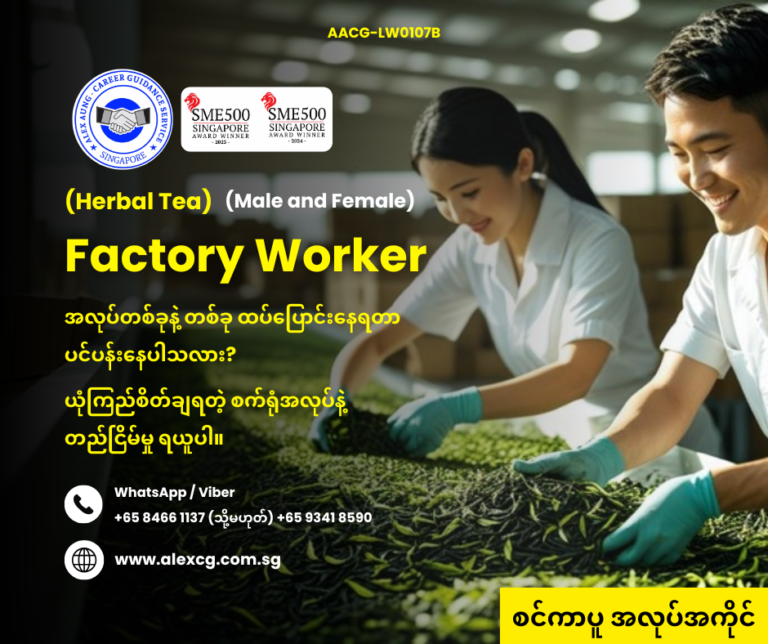 Factory Worker