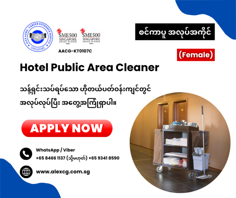 Hotel Public Area Cleaner