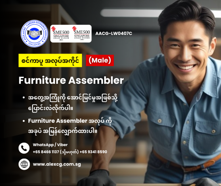 Furniture Assembler