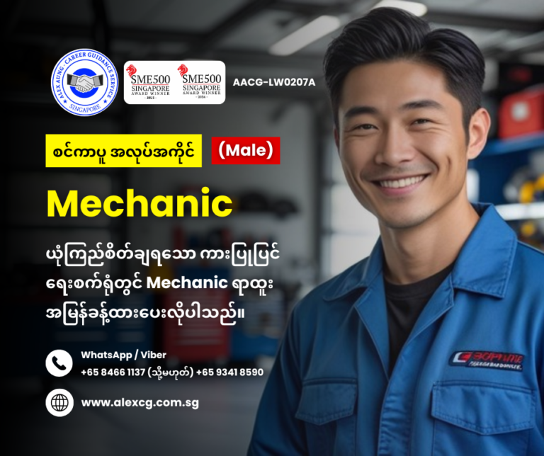 Mechanic