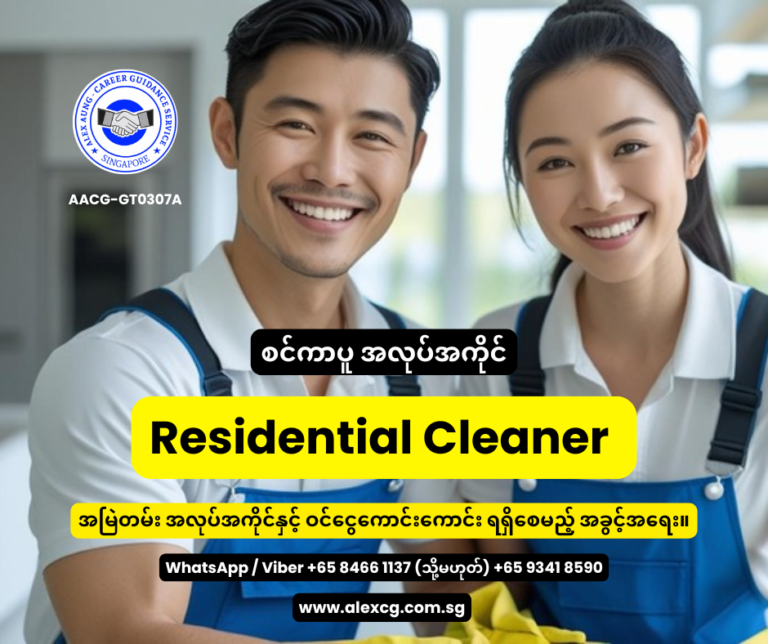 Residential Cleaner