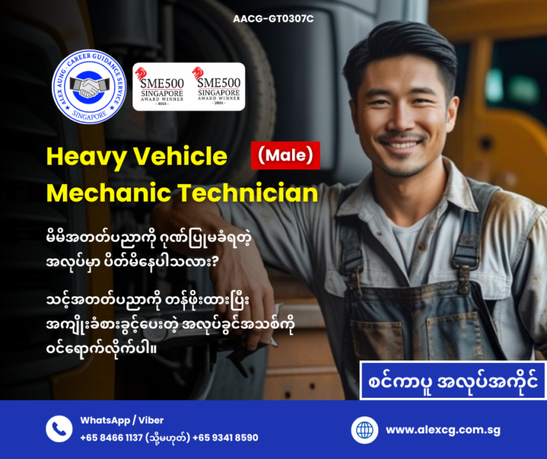 Heavy Vehicle Mechanic Technician