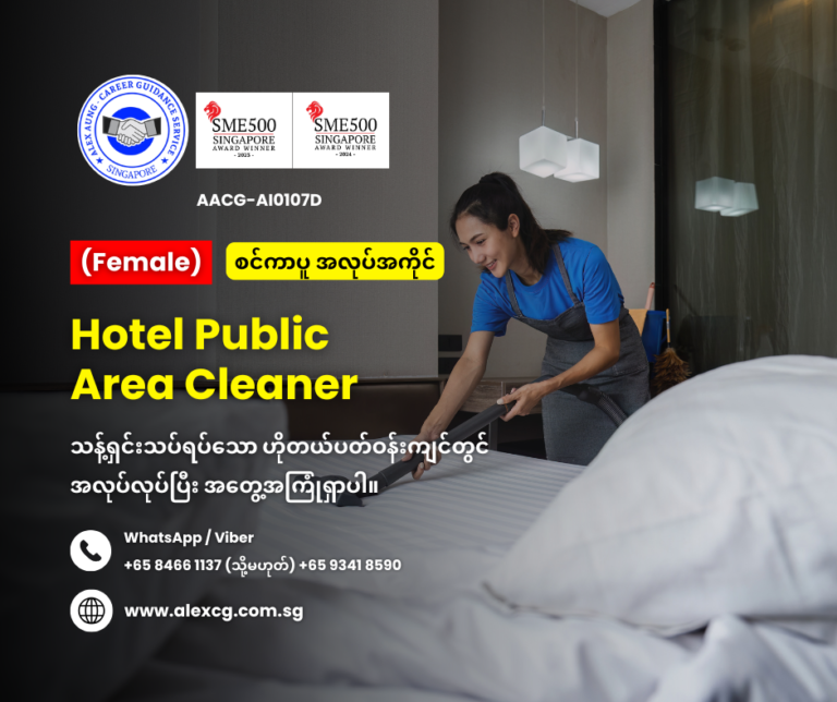 Hotel Public Area Cleaner