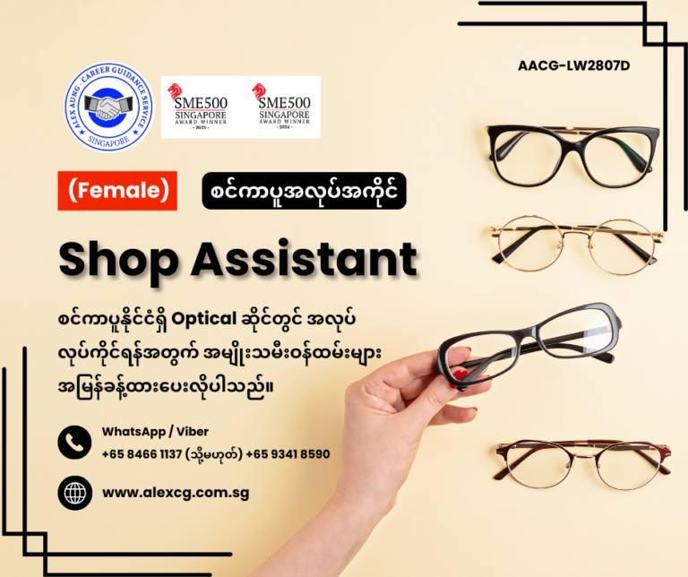 Shop Assistant