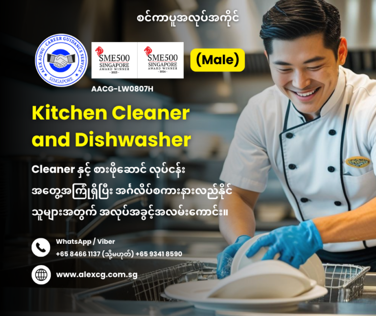Kitchen Cleaner and Dishwasher