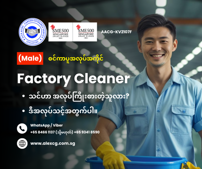 Factory Cleaner