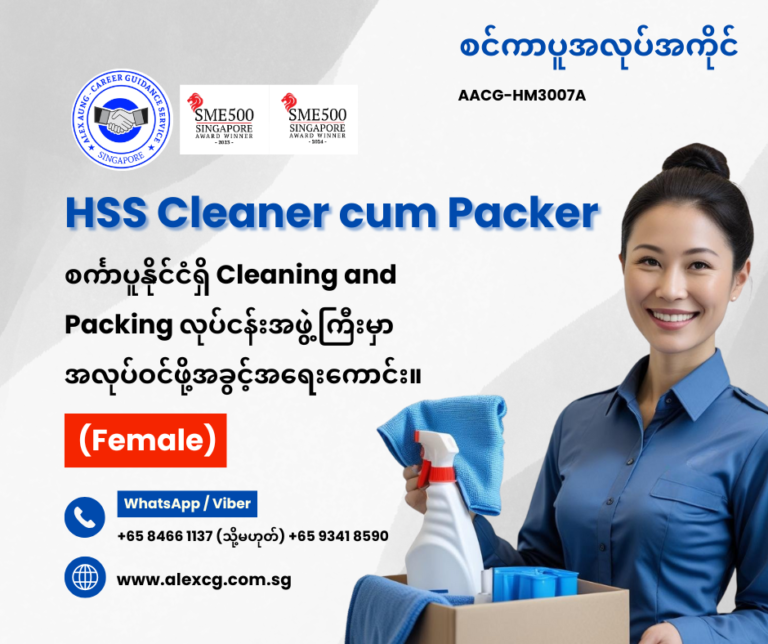 HSS Cleaner cum Packer