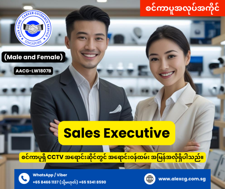 Sales Executive