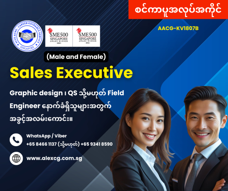 Sales Executive