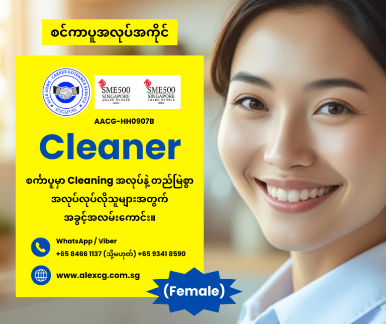 Cleaner
