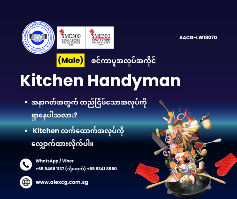 Kitchen Handyman