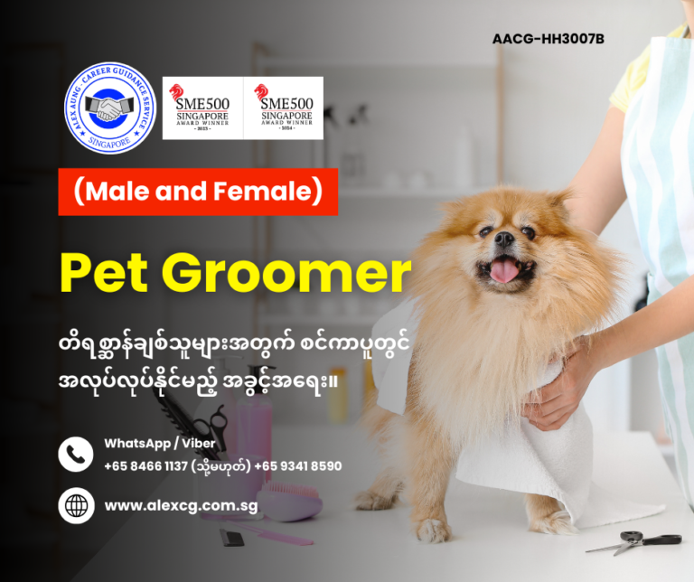 Pet Groomer