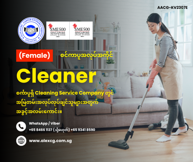 Cleaner