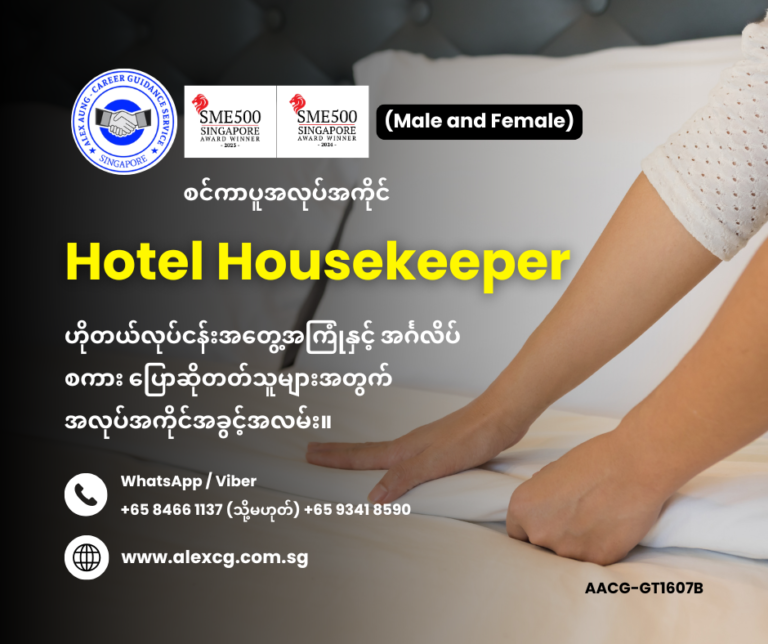 Hotel Housekeeper