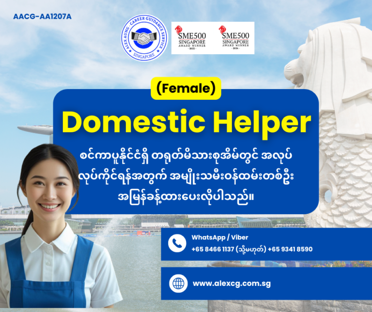 Domestic Helper
