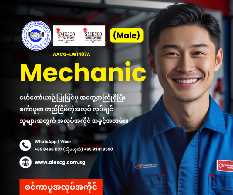 Mechanic