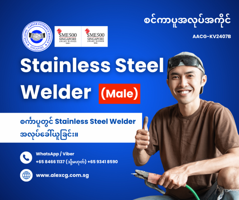 Stainless Steel Welder