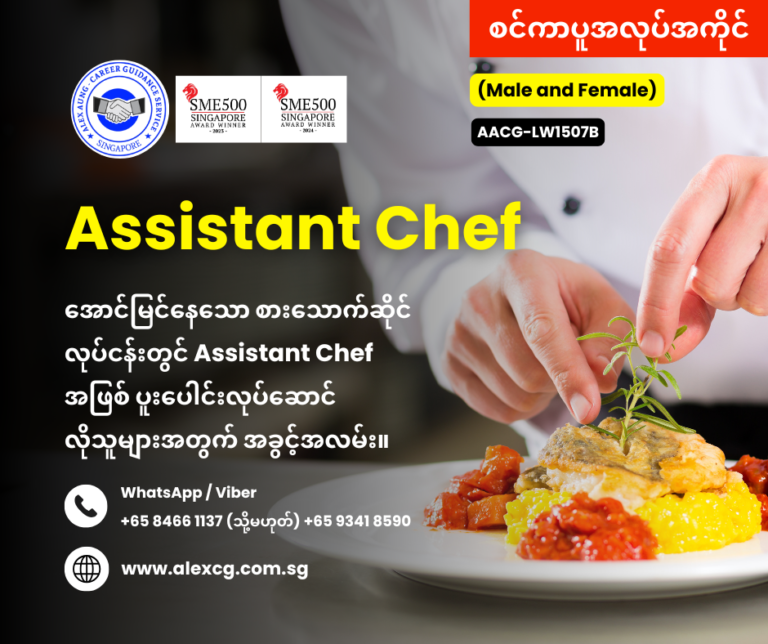 Assistant Chef